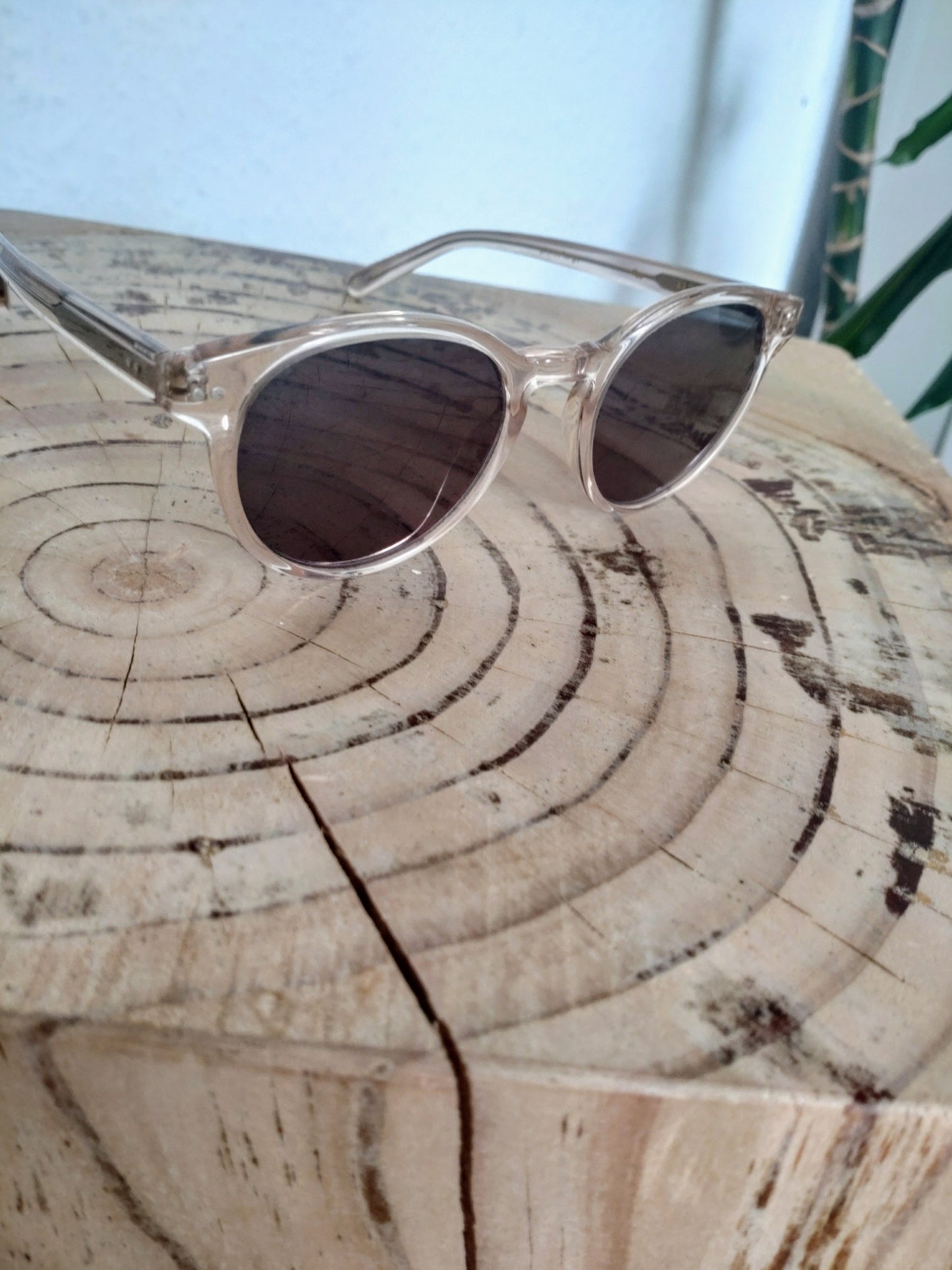 Ace & Tate Pierce Large Fizz Sunglasses