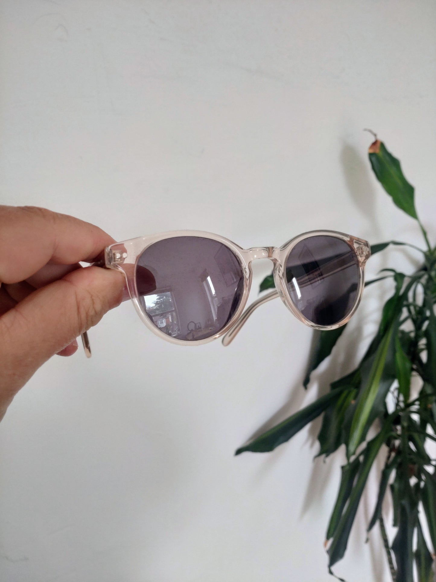 Ace & Tate Pierce Large Fizz Sunglasses