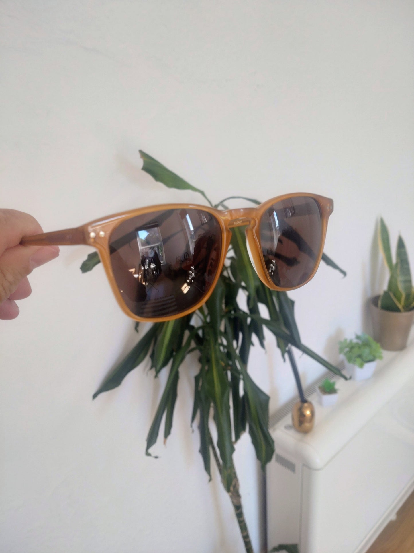 Ace & Tate Hudson Caramel Havana Sunglasses
